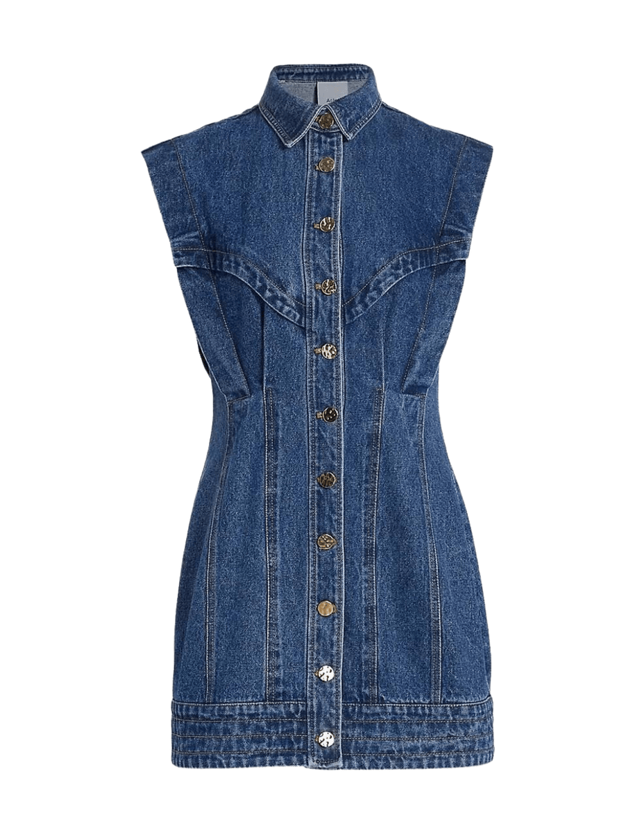 Taren Denim Mini Dress