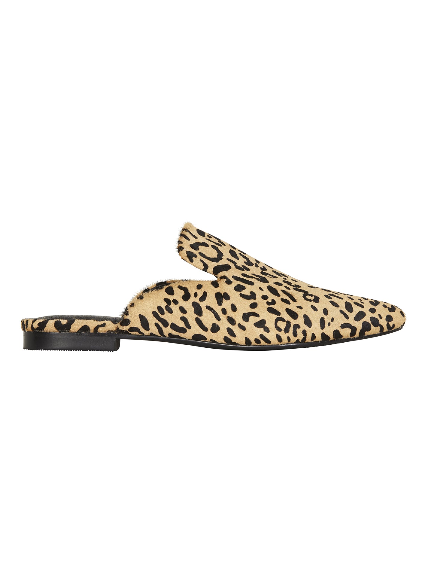 Sol discount sana leopard